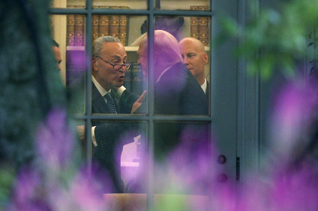 Chuck Schumer; Donald Trump (Getty/Alex Wong)