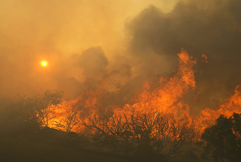 (AP/Rich Pedroncelli)