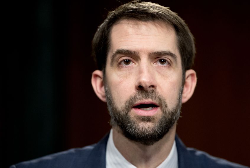 Tom Cotton (AP/Andrew Harnik))