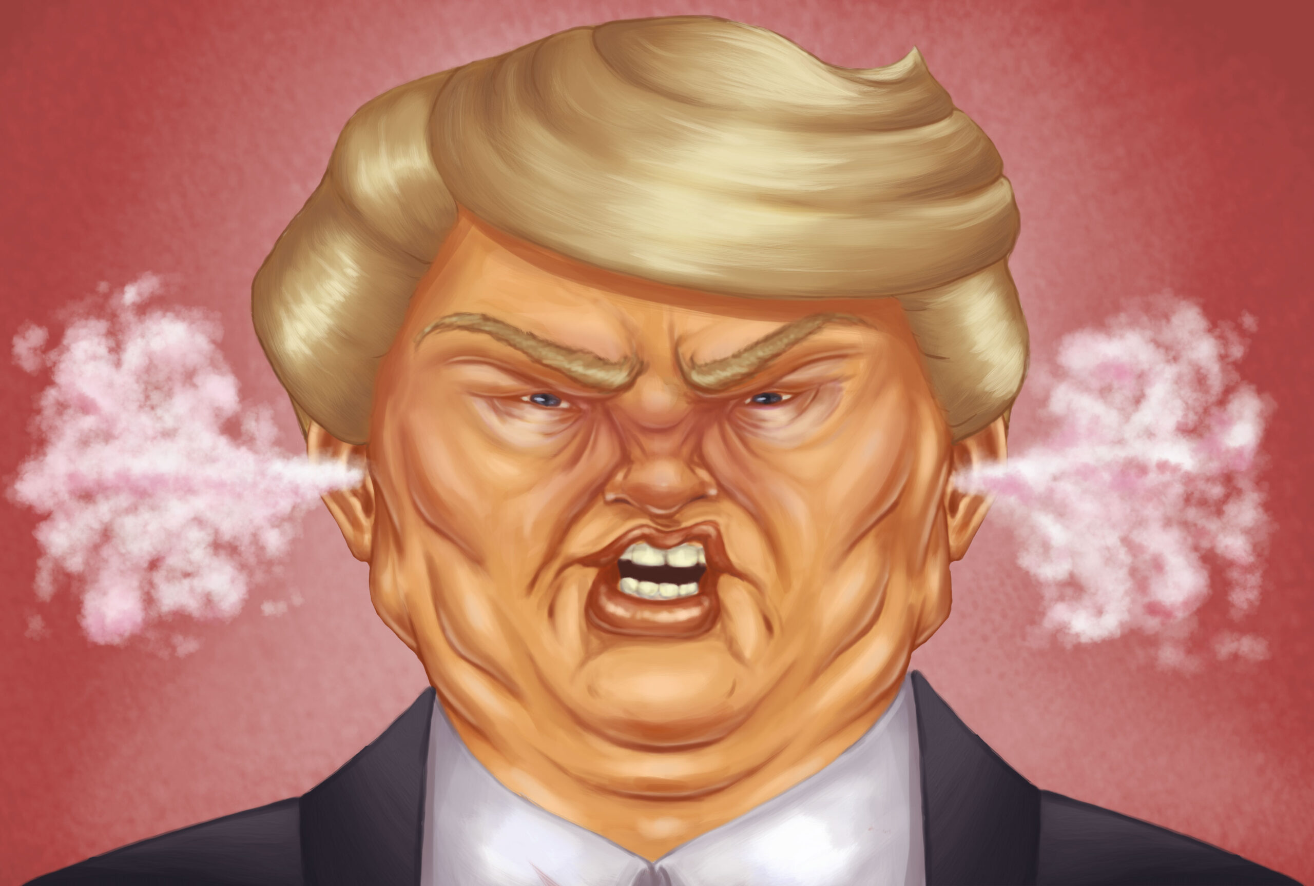 Donald Trump (Salon/Ilana Lidagoster)