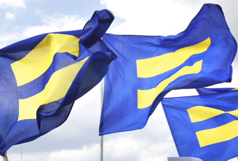 Human Rights Campaign "equality flags" (AP/Jacquelyn Martin)