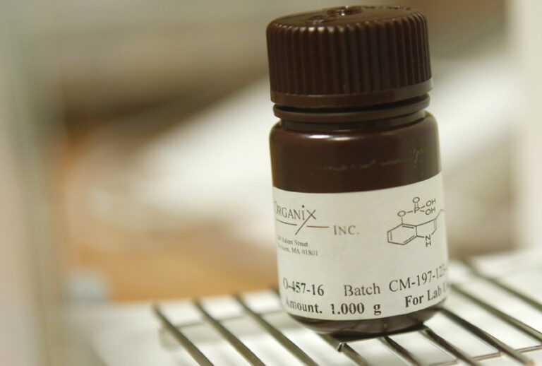 Psilocybin, the psychoactive ingredient in hallucinogenic mushrooms (AP/Seth Wenig)