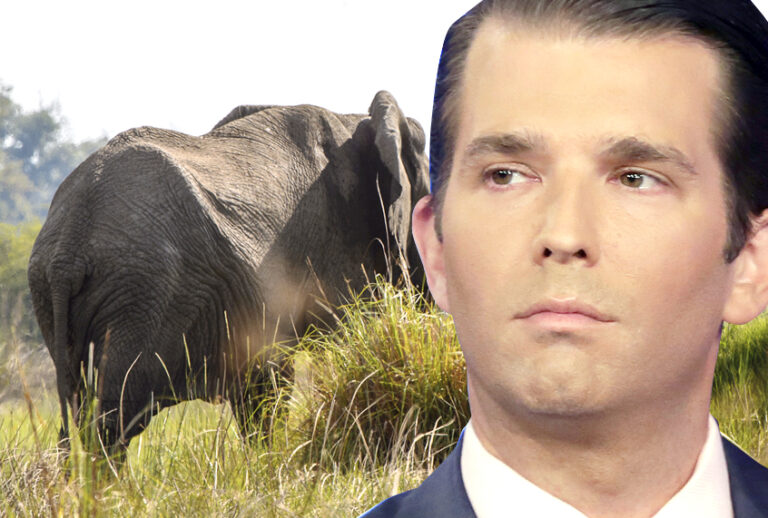 Donald Trump Jr. (AP/Richard Drew/Getty/	Siempreverde22)