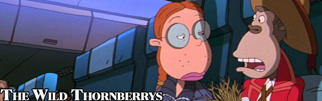 wildthornberrys-gateway-compressor
