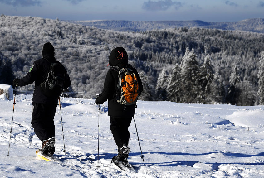 (Getty/Frederick Florin)