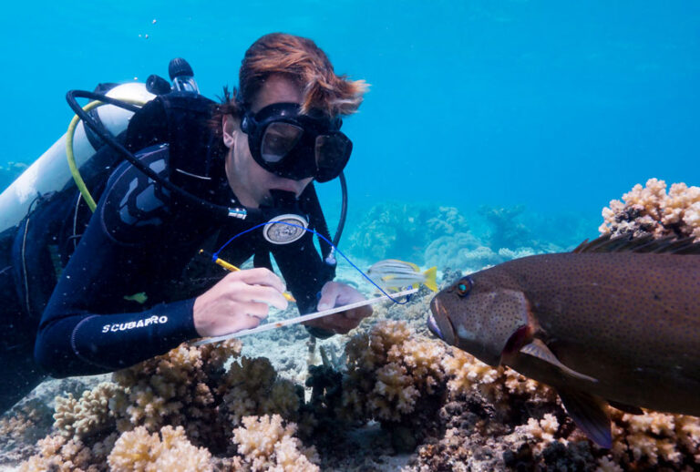 Scientist Alexander Vail in Blue Planet (BBC America/Yoland Bosiger)