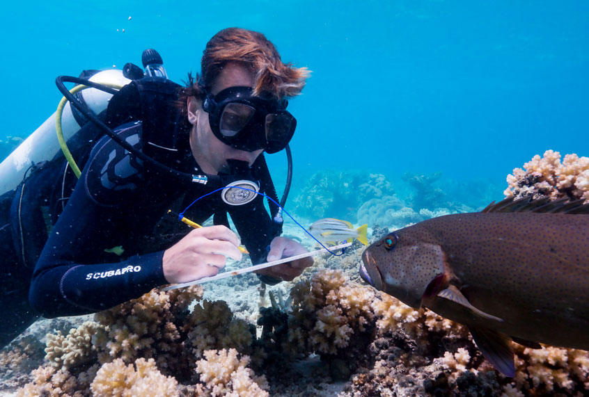 Scientist Alexander Vail in Blue Planet (BBC America/Yoland Bosiger)