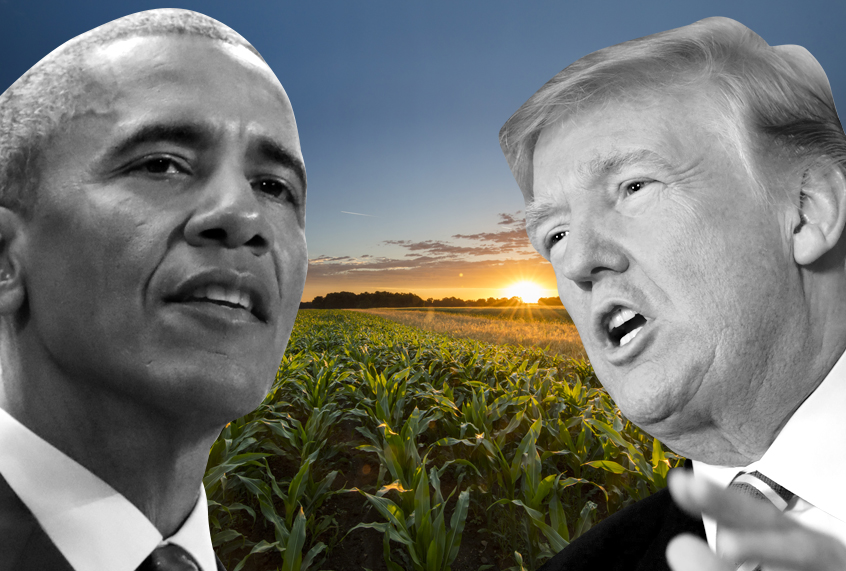 (AP/Getty/Photo Montage by Salon)