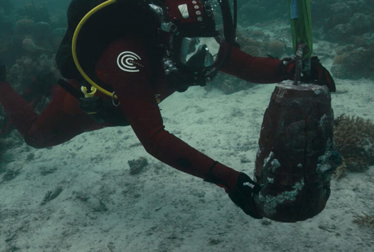 Screengrab from "Treasures from the Wreck of the Unbelievable" (Netflix)