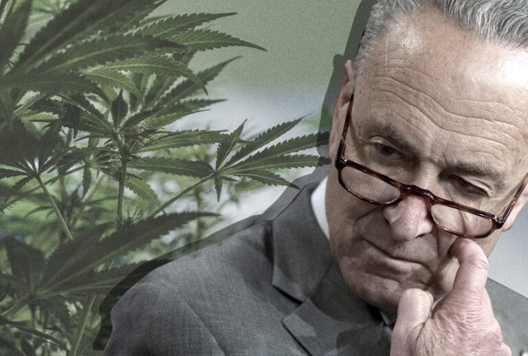 Chuck Schumer (AP/Getty/Salon)