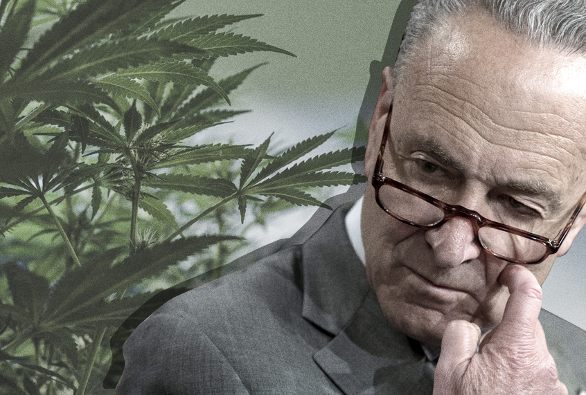 Chuck Schumer (AP/Getty/Salon)