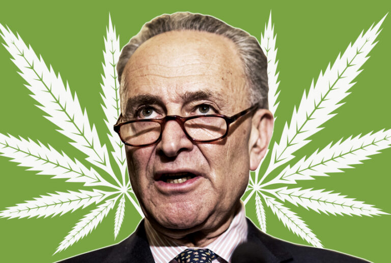 Chuck Schumer (Getty Images/Salon)