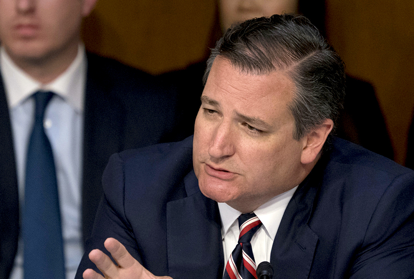 Sen. Ted Cruz (AP/Andrew Harnik)