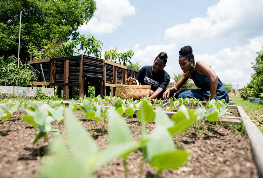 (Jillian Hishaw/Civil Eats)