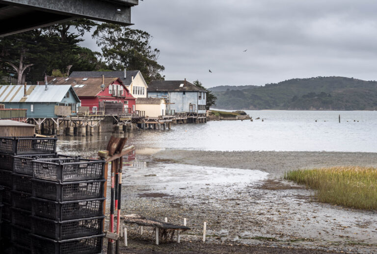Tomales Bay, Hog Island (Getty Images)
