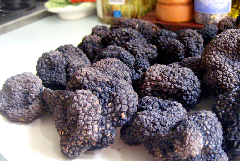 Truffles (Elizabeth Minchilli)