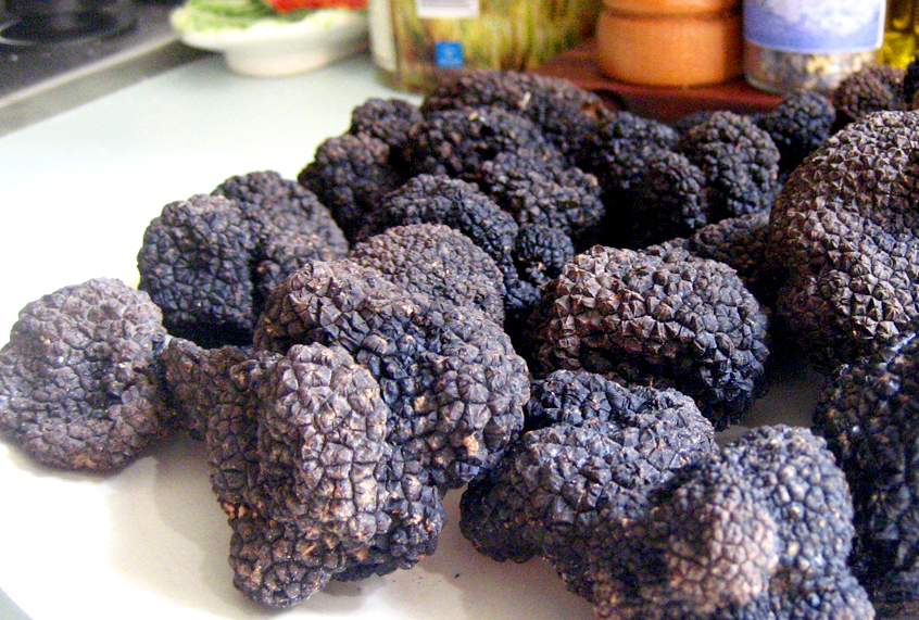 Truffles (Elizabeth Minchilli)