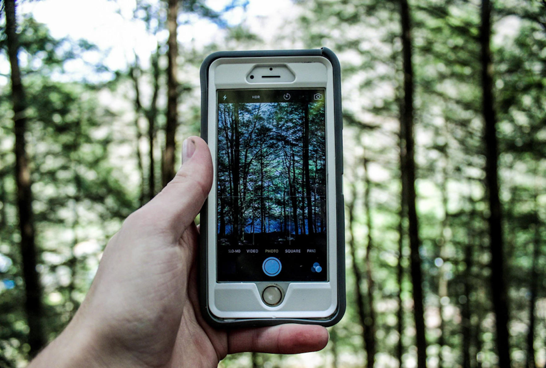(Justin Hamilton/Pexels/Independent Media Institute)