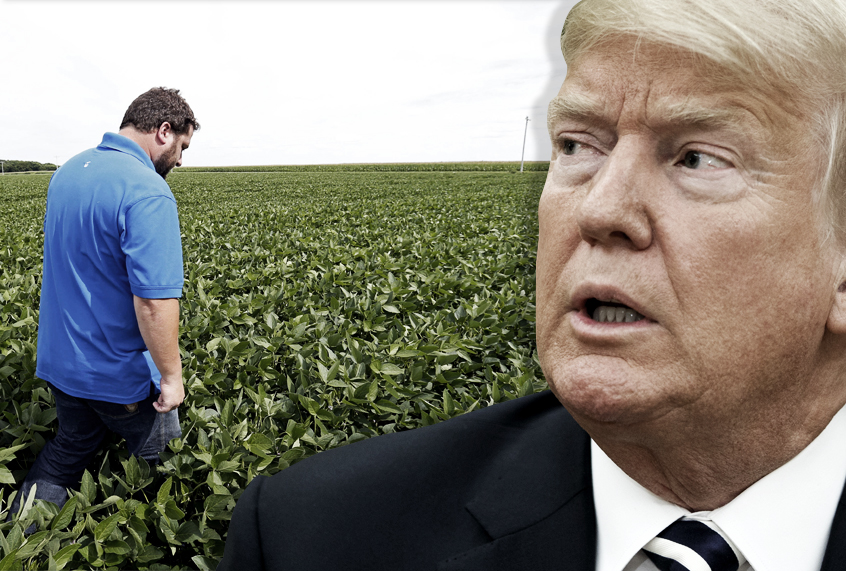 A soybean farmer in southern Minnesota. (AP/Photo Montage by Salon)
