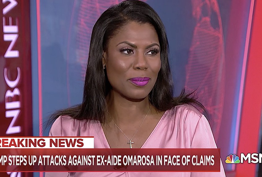 Omarosa Manigault on MSNBC (MSNBC)
