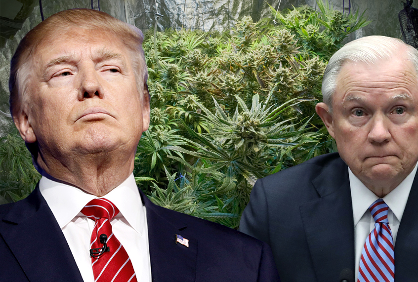 Donald Trump; Jeff Sessions (AP/Getty/Salon)