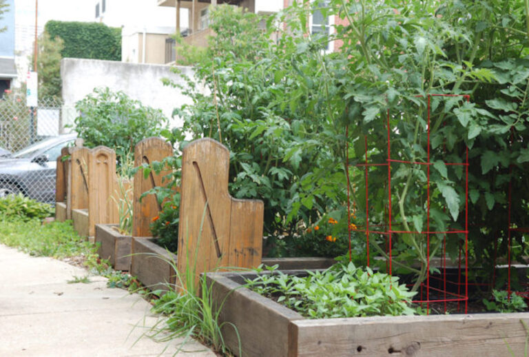 Planter beds in the UBC Garden of Eden. (Photo courtesy Karen Chernick / Civil Eats)