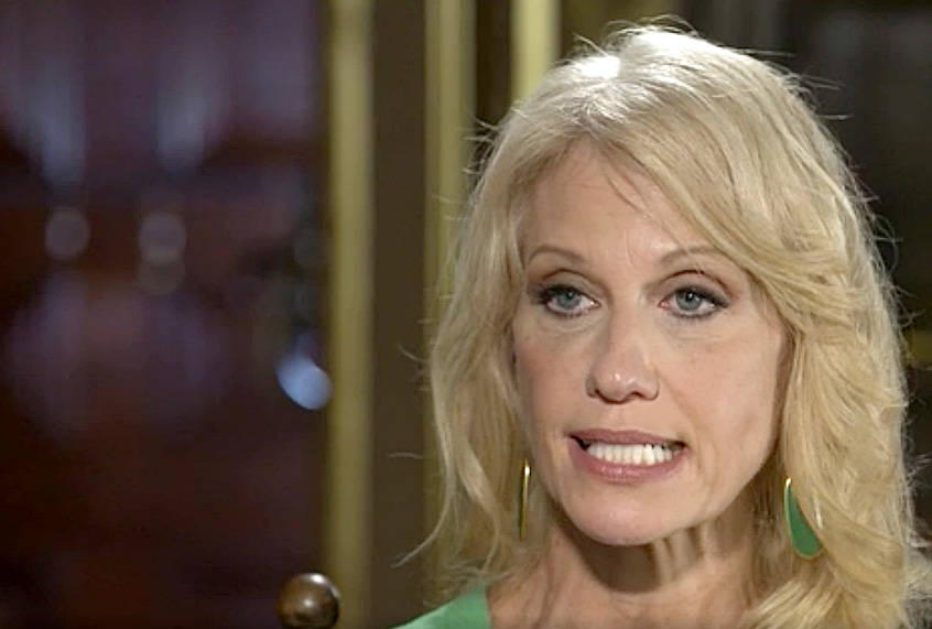 Kellyanne Conway on CNN (CNN)