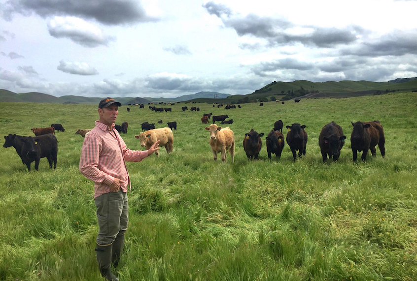 Farmer Kelly Mulville showing climate-smart ranching practices at Paicines Ranch in California. (CalCAN/Civil Eats)