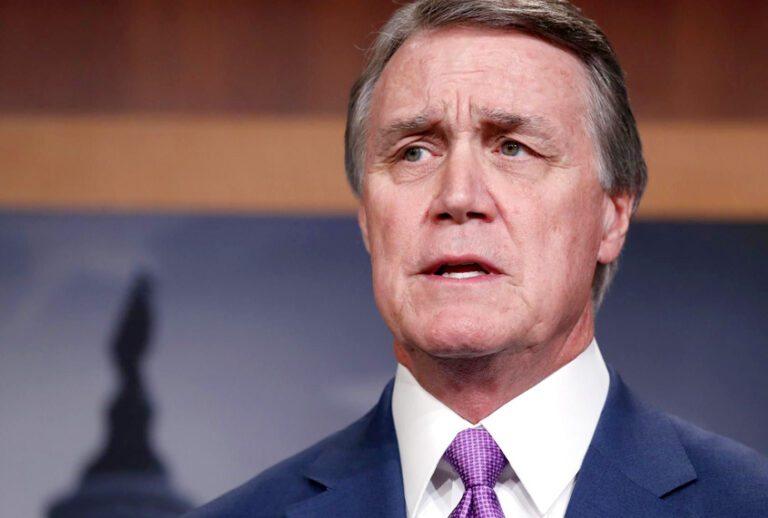 David Perdue (AP/Alex Brandon)
