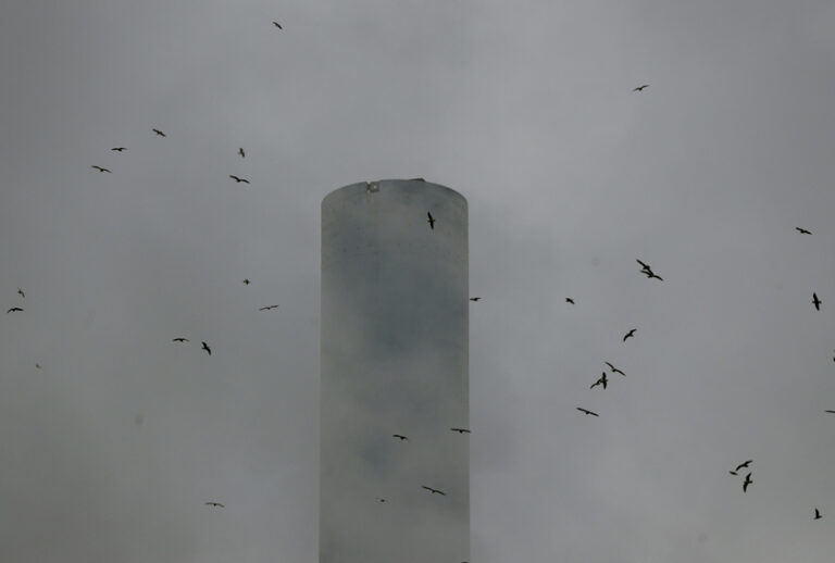(AP/Luca Bruno)