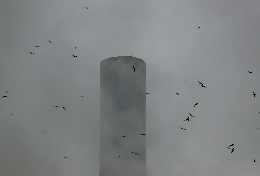 (AP/Luca Bruno)
