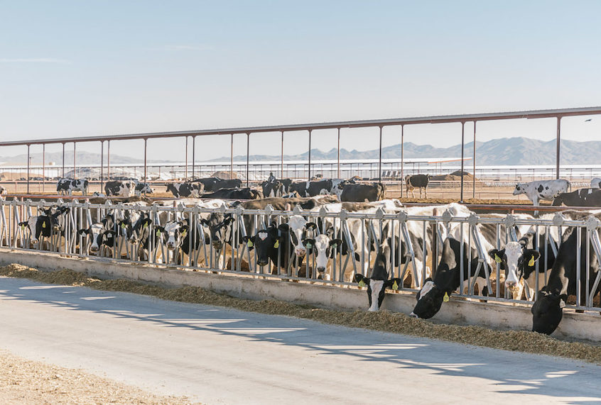 (Kimberley Hasselbrink / Civil Eats)