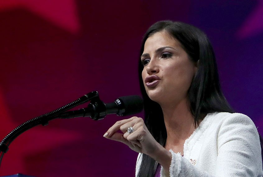 Dana Loesch (Getty/Justin Sullivan)