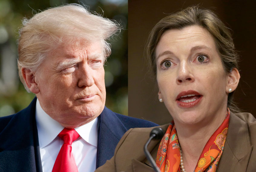 Donald Trump; Evelyn Farkas (AP/Carolyn Kaster/Getty/Alex Wong)