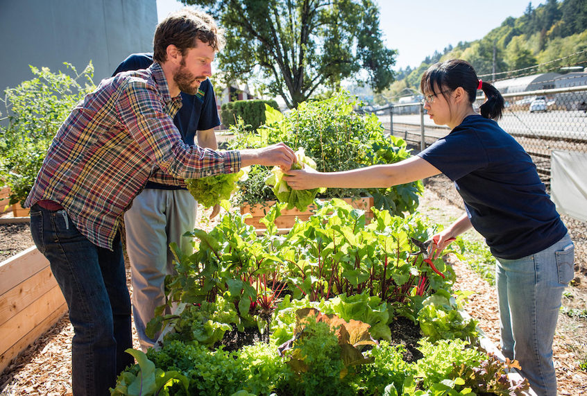 (Shawn Linehan/Civil Eats)