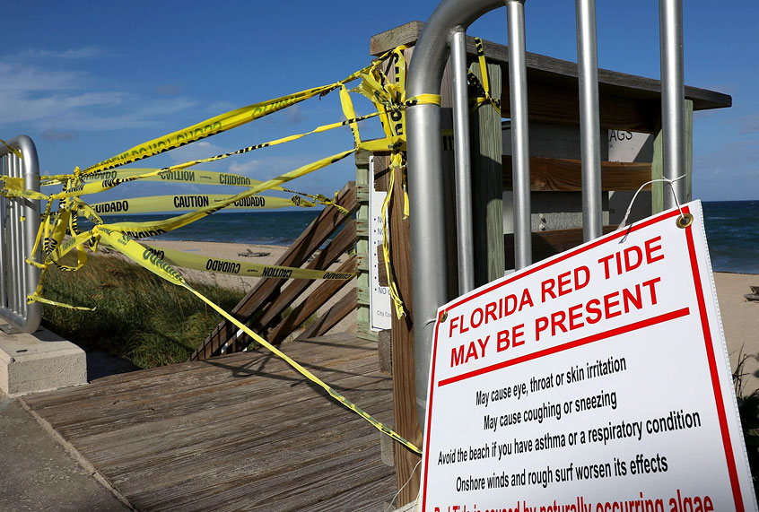 Caution tape closes off an entrance to the beach as Palm Beach County officials announced that all county beaches are closed due to red tide affecting coastal areas on October 4, 2018 in Lake Worth, Florida. (Getty/Joe Raedle)