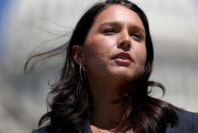 Rep. Tulsi Gabbard (D-HI) (Getty/Win McNamee)