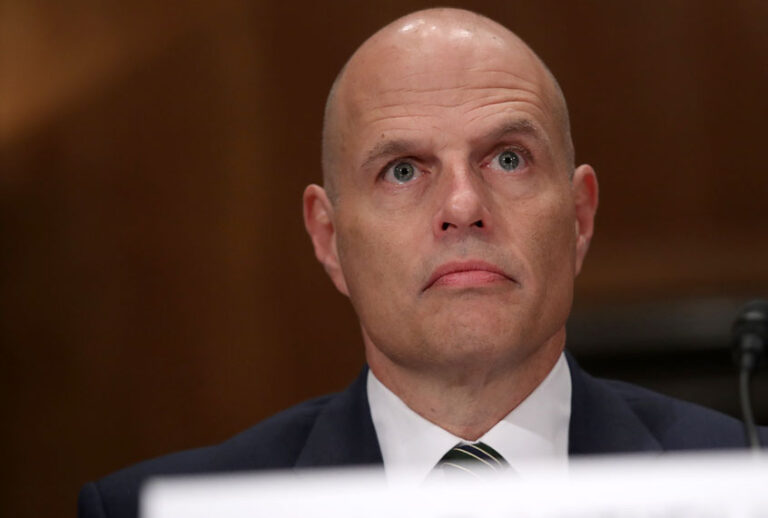 Ronald D. Vitiello (Getty/Win McNamee)