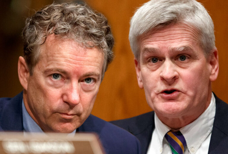 Sen. Rand Paul, R-KY; Sen. Bill Cassidy, D-LA (AP/Salon)