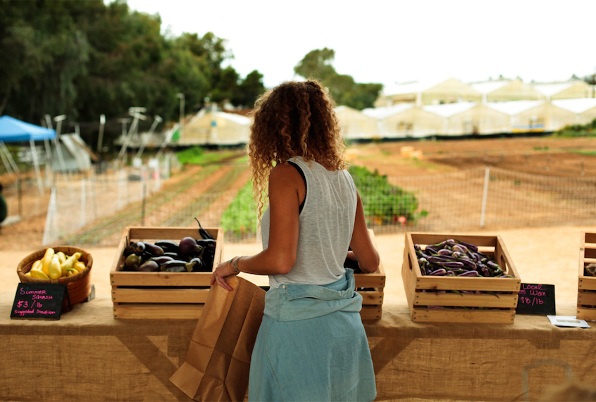 The pay-what-you-can farm stand at Coastal Roots Farm. (Myles Stephens)