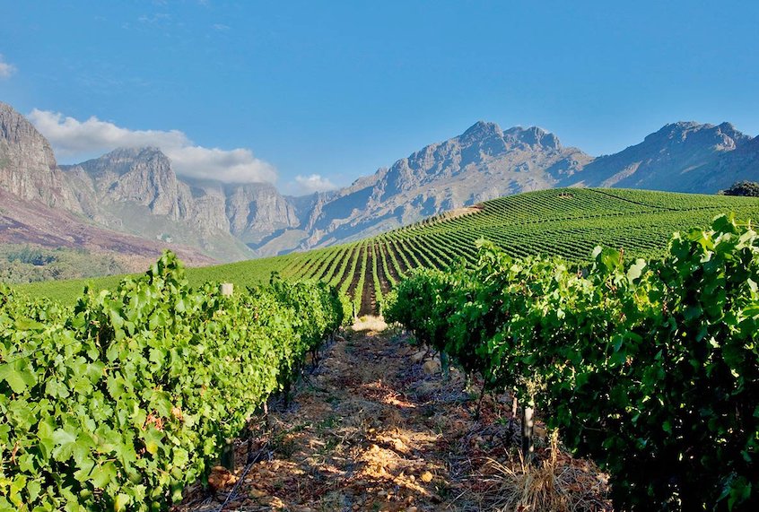 The vineyards less traveled. (Photo courtesy of Oldenburg Vineyards / Fathom)
