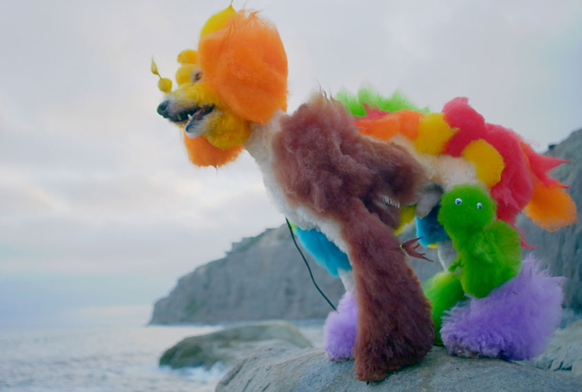 Kobe, Cat Opson’s poodle, stands on the beach in California (Photo Courtesy of Cattle Rat Productions)