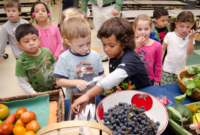 (Photo by Lance Cheung / USDA)