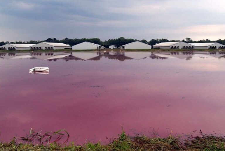 OLYMPUS DIGITAL CAMERA (picstever/Flickr)