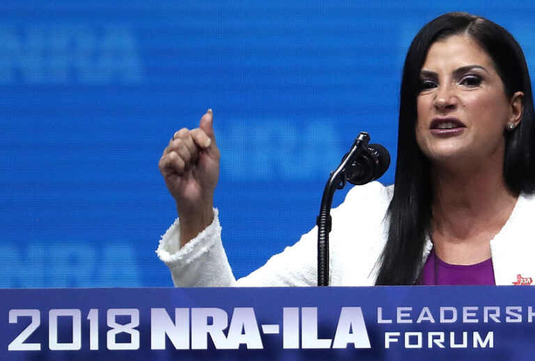 Dana Loesch (Getty/Justin Sullivan)