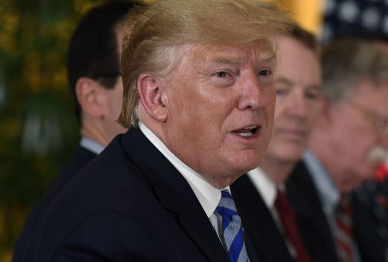 President Donald Trump speaks at dinner in in Osaka, Japan to attend the G20 Summit. (AP/Susan Walsh)