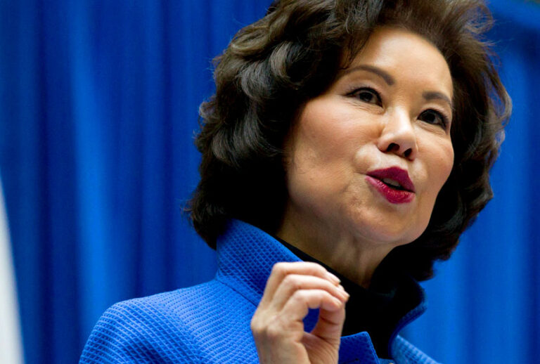 Transportation Secretary Elaine Chao (AP/Jose Luis Magana)