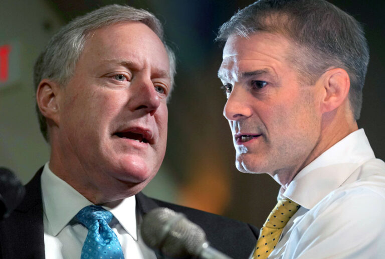 Rep. Mark Meadows (R-NC); Rep. Jim Jordan R-OH) (Getty/AP/Salon)