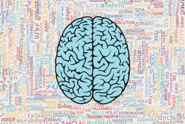While it makes for a colorful analogy, comparing the brain to a muscle is inaccurate and misleading.
