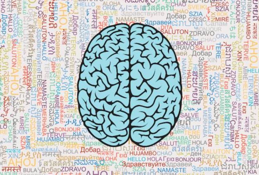 While it makes for a colorful analogy, comparing the brain to a muscle is inaccurate and misleading.